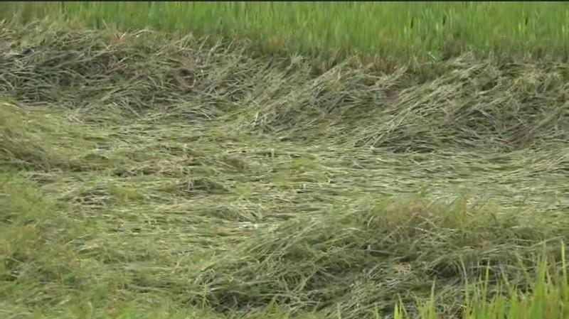 Mưa lớn gây thiệt hại nhiều về tài sản, tắc nghẽn nhiều tuyến giao thông tại Bảo Thắng, Lào Cai ảnh 1