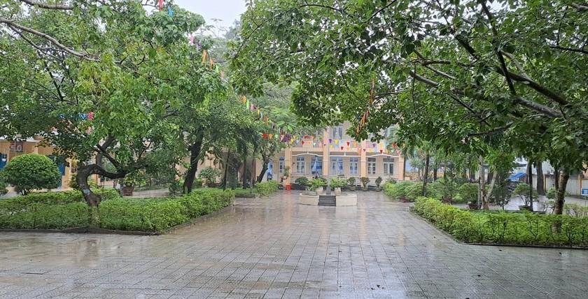 Hiệu trưởng Trường Tiểu học Vinh Hiền: Một đảng viên tận tuỵ, một giáo viên tâm huyết ảnh 1