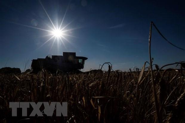 LHQ: Nhiệt độ Trái Đất có thể tăng 2,8 độ C vào cuối thế kỷ 21 hình ảnh 1 LHQ: Nhiet do Trai Dat co the tang 2,8 do C vao cuoi the ky 21 hinh anh 1