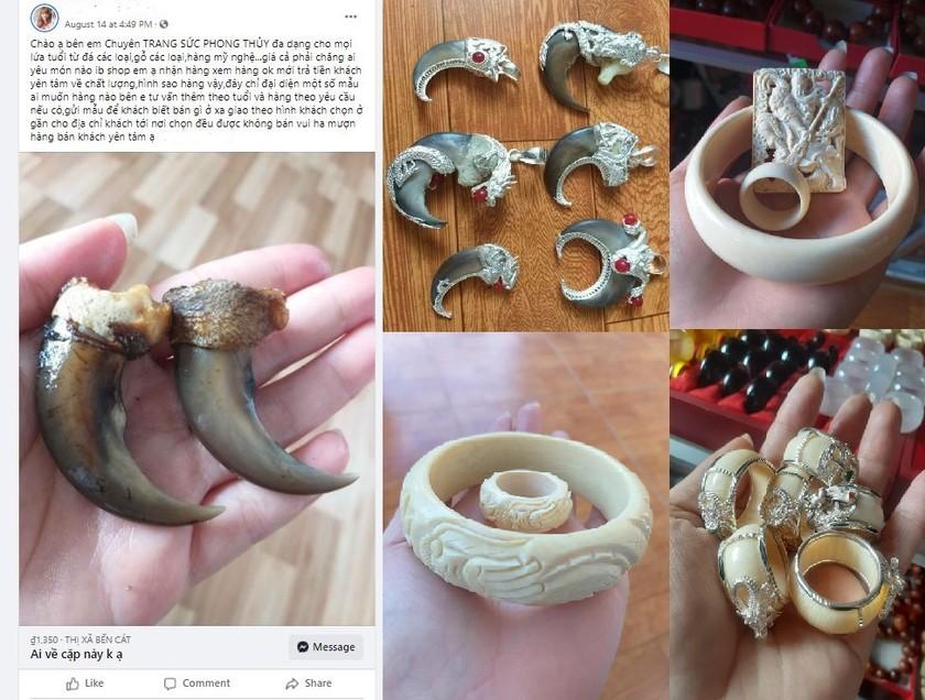 Nhận án tù vì rao bán trang sức từ động vật hoang dã trên mạng xã hội ảnh 1