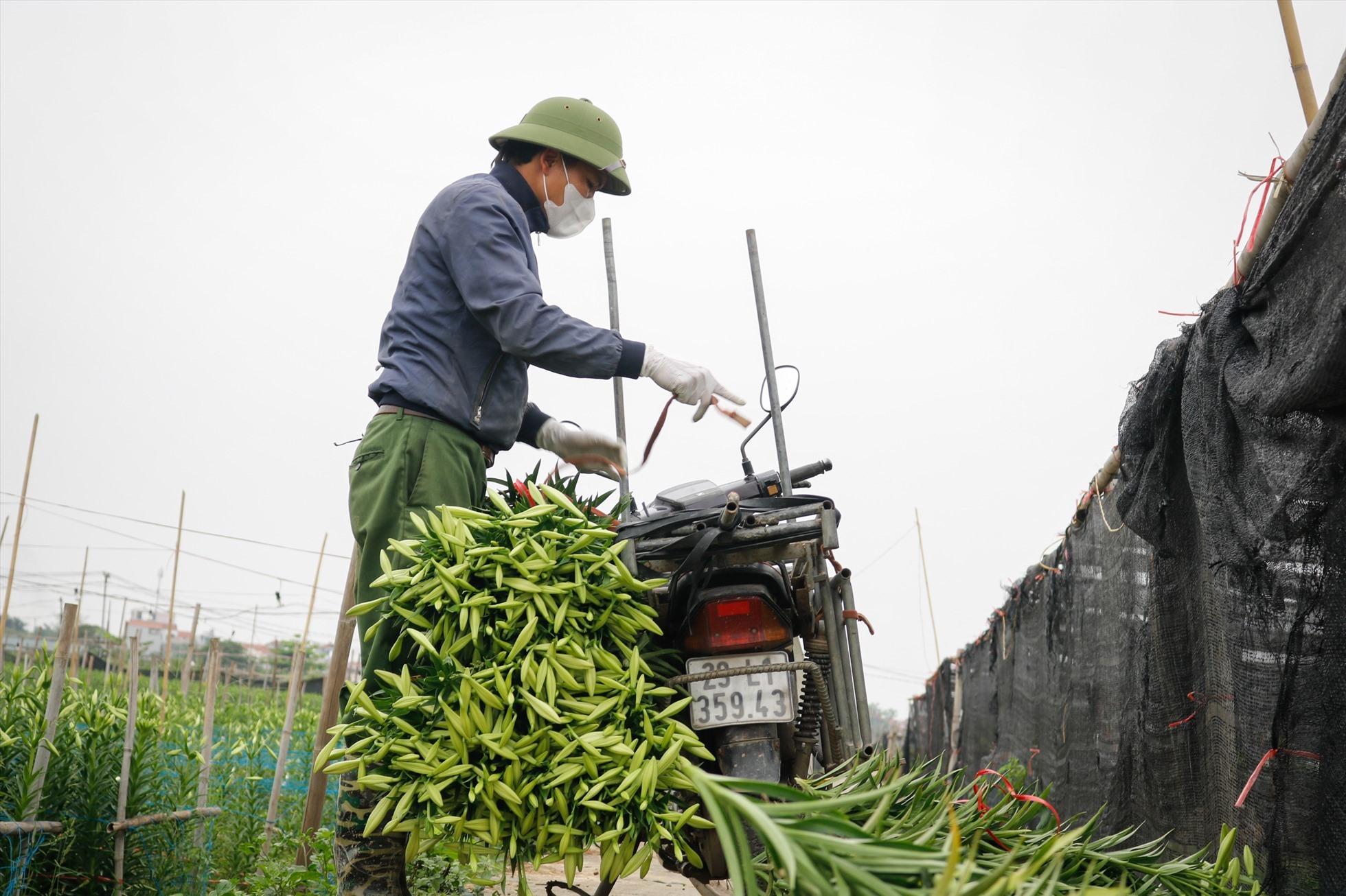 Vị trí công tác ngành nông nghiệp phải định kỳ chuyển đổi