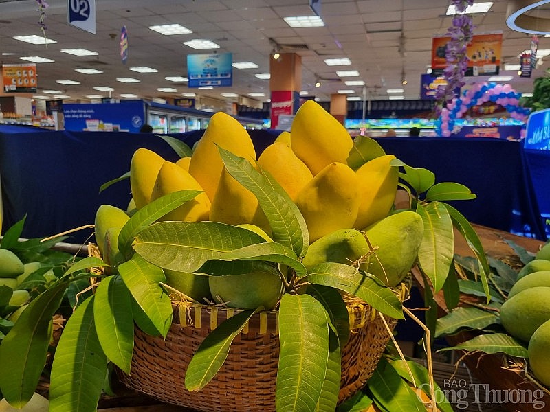 Việt Nam là thị trường cung cấp xoài lớn thứ 3 cho Hàn Quốc Việt Nam là thị trường cung cấp xoài lớn thứ 3 cho Hàn Quốc