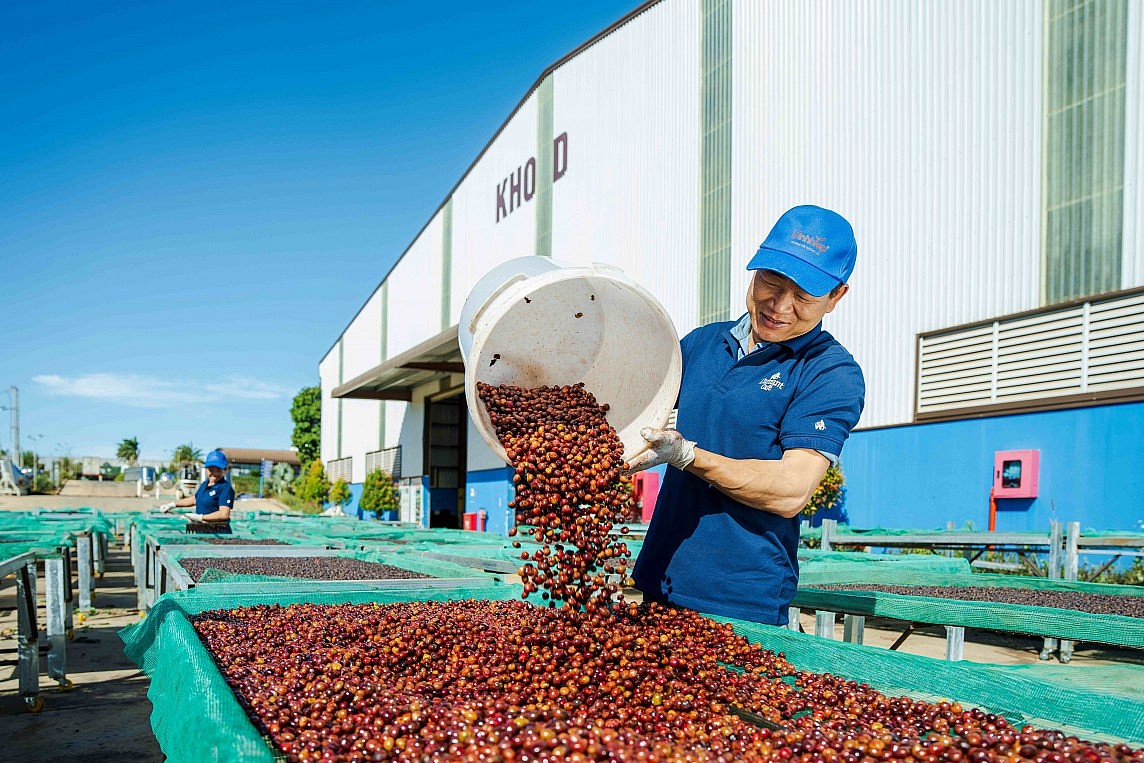 Giá cà phê tăng quá nhanh gây bất ổn tại thị trường nội địa Giá cà phê tăng quá nhanh gây bất ổn tại thị trường nội địa