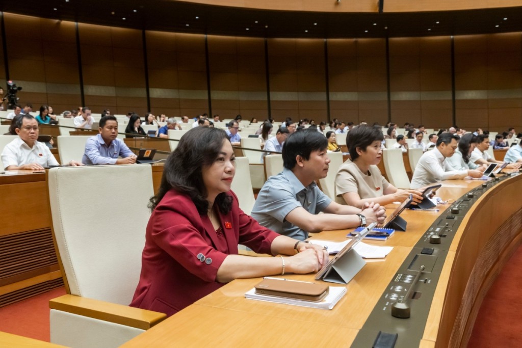 Xem xét thí điểm thành lập Khu thương mại tự do ở Đà Nẵng Xem xét thí điểm thành lập Khu thương mại tự do ở Đà Nẵng