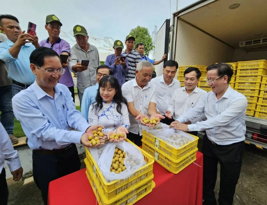 Các đại biểu vui mừng khi lô thanh nhãn 1,2 tấn được xuất khẩu (Ảnh CTO) Các đại biểu vui mừng khi lô thanh nhãn 1,2 tấn được xuất khẩu (Ảnh CTO)