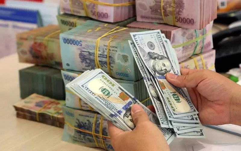 Tỷ giá USD hôm nay 22/8/2024: Tiếp tục hạ nhiệt Tỷ giá USD 22/8