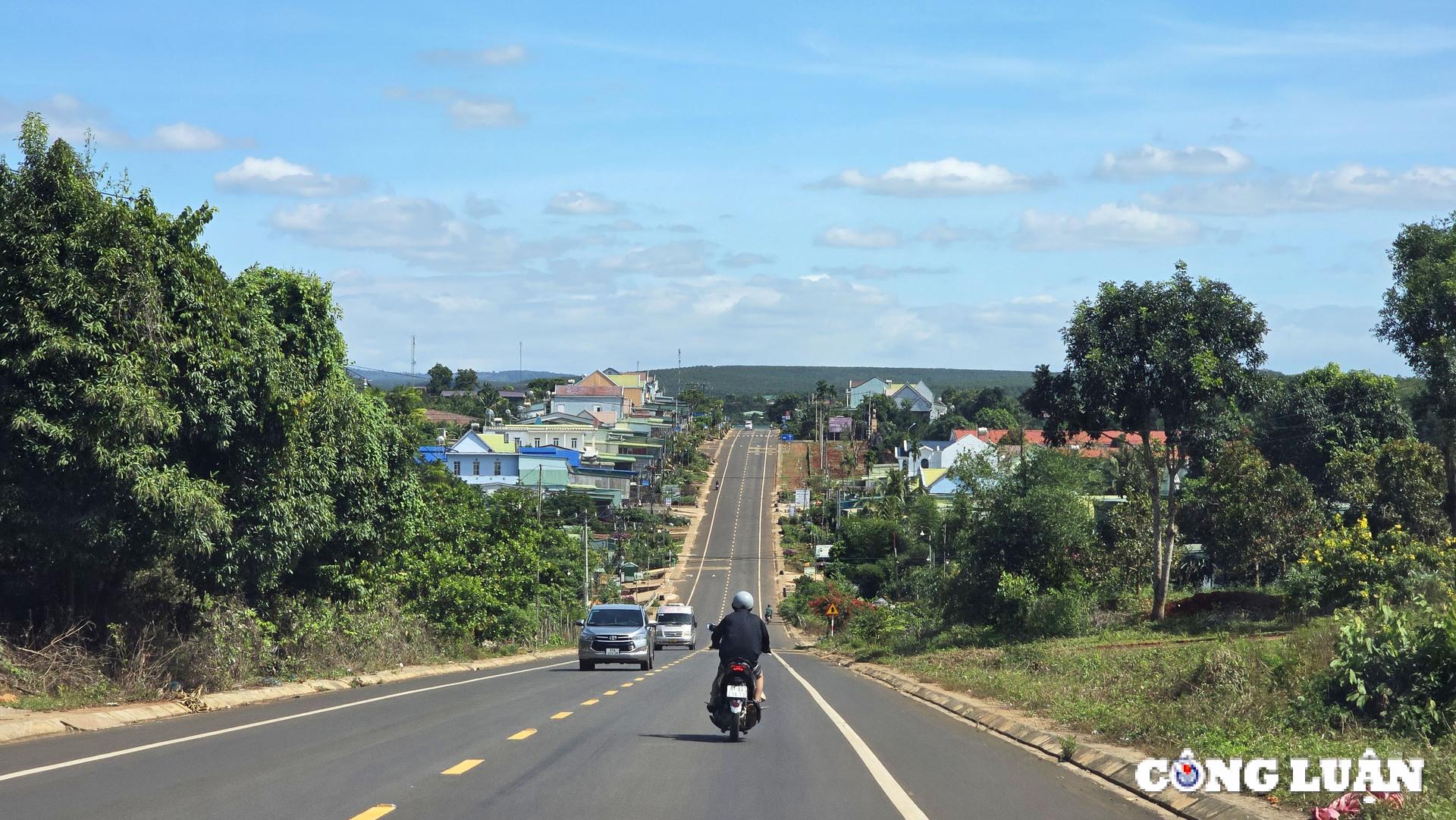 duc co gia lai gia lang rah lan vong cay dai thu cua lang ngo le hinh 2