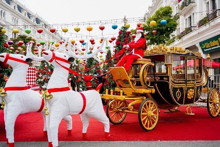 Giới trẻ nô nức check-in vườn thông khổng lồ tại Danko City