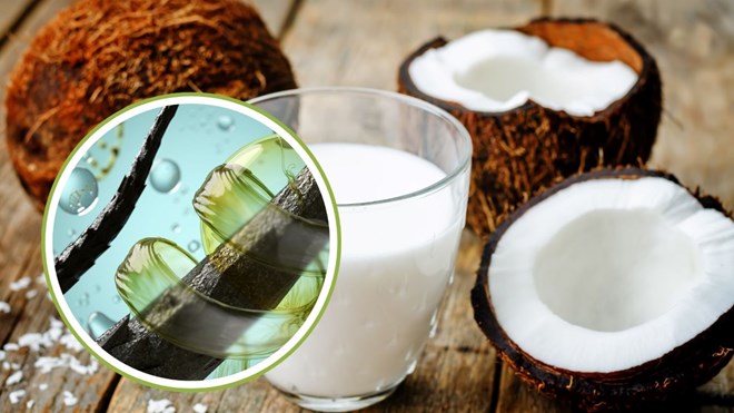 Cách kết hợp sữa dừa giúp dưỡng tóc chắc khỏe