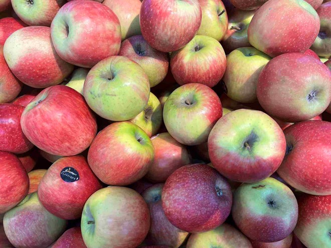 Giải độc gan bằng cách ăn táo đúng thời điểm