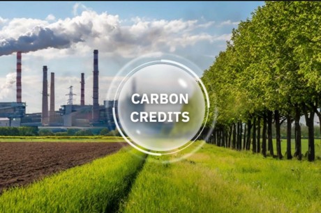 Chuyển đổi xanh trở thành xu thế bắt buộc để bảo đảm sự tồn tại và phát triển bền vững của thế giới. (Ảnh minh họa: Getty Image)