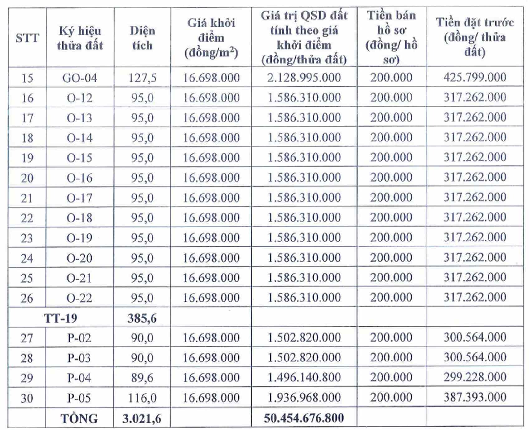 Thông tin các thửa đất trong phiên đấu giá ngày 5.4. Ảnh chụp màn hình