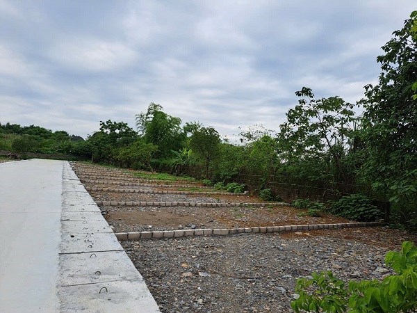 Cẩn trọng với nguy cơ sốt ảo đất nền