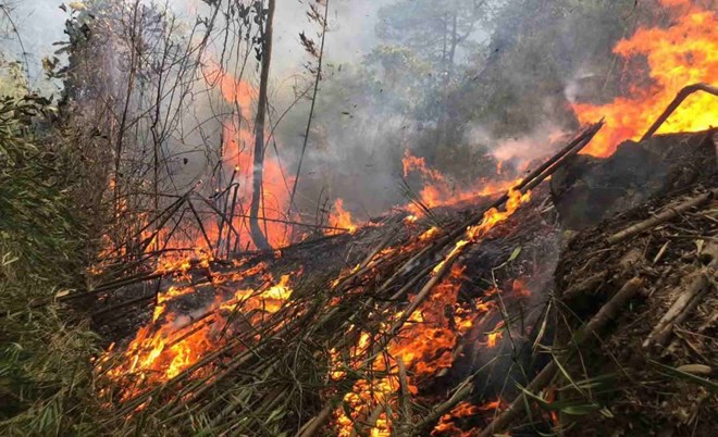 Bài học sau vụ cháy rừng thảm khốc ở Tuyên Quang