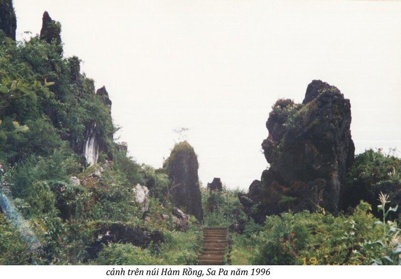 Ảnh: Nguyễn Trí Dũng