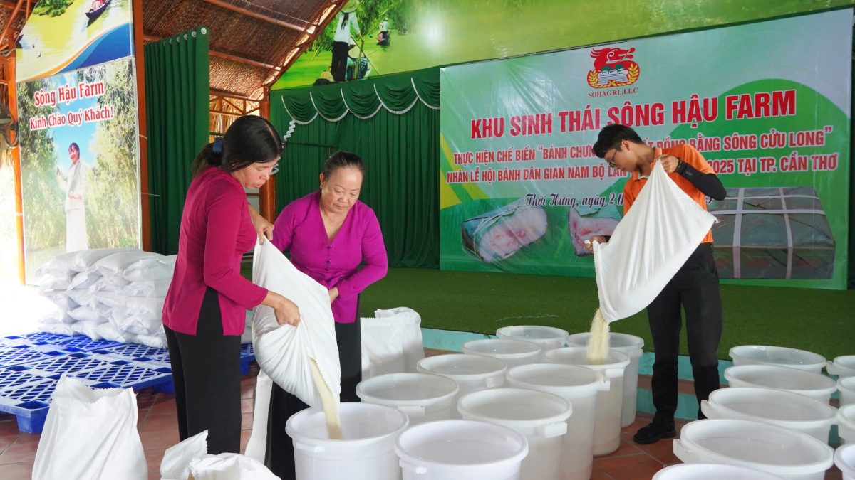 Ảnh: Yến Phương