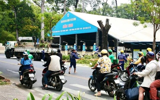 Thi công vỉa hè bức tử cây xanh, Chủ tịch UBND TPHCM truy trách nhiệm