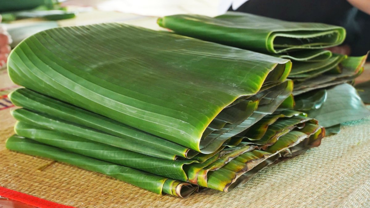 Khoảng 1.000 tàu lá chuối và 1.800 lá dong được chuẩn bị để gói bánh. Ảnh: Yến Phương