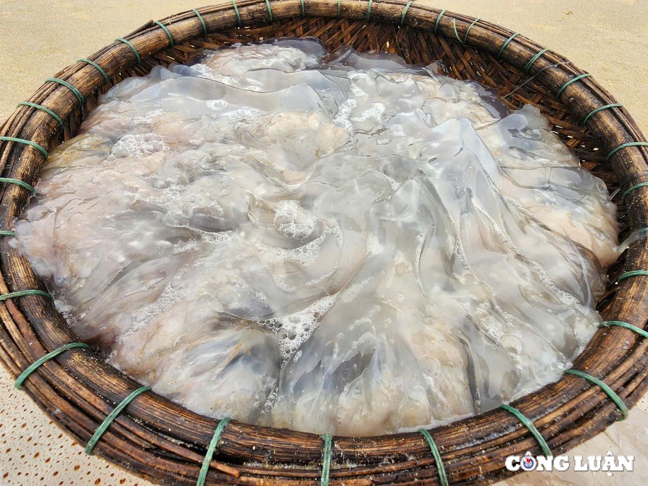 ngu dan ha tinh trung dam mua sua bien thu tien trieu moi chuyen ra khoi hinh 4