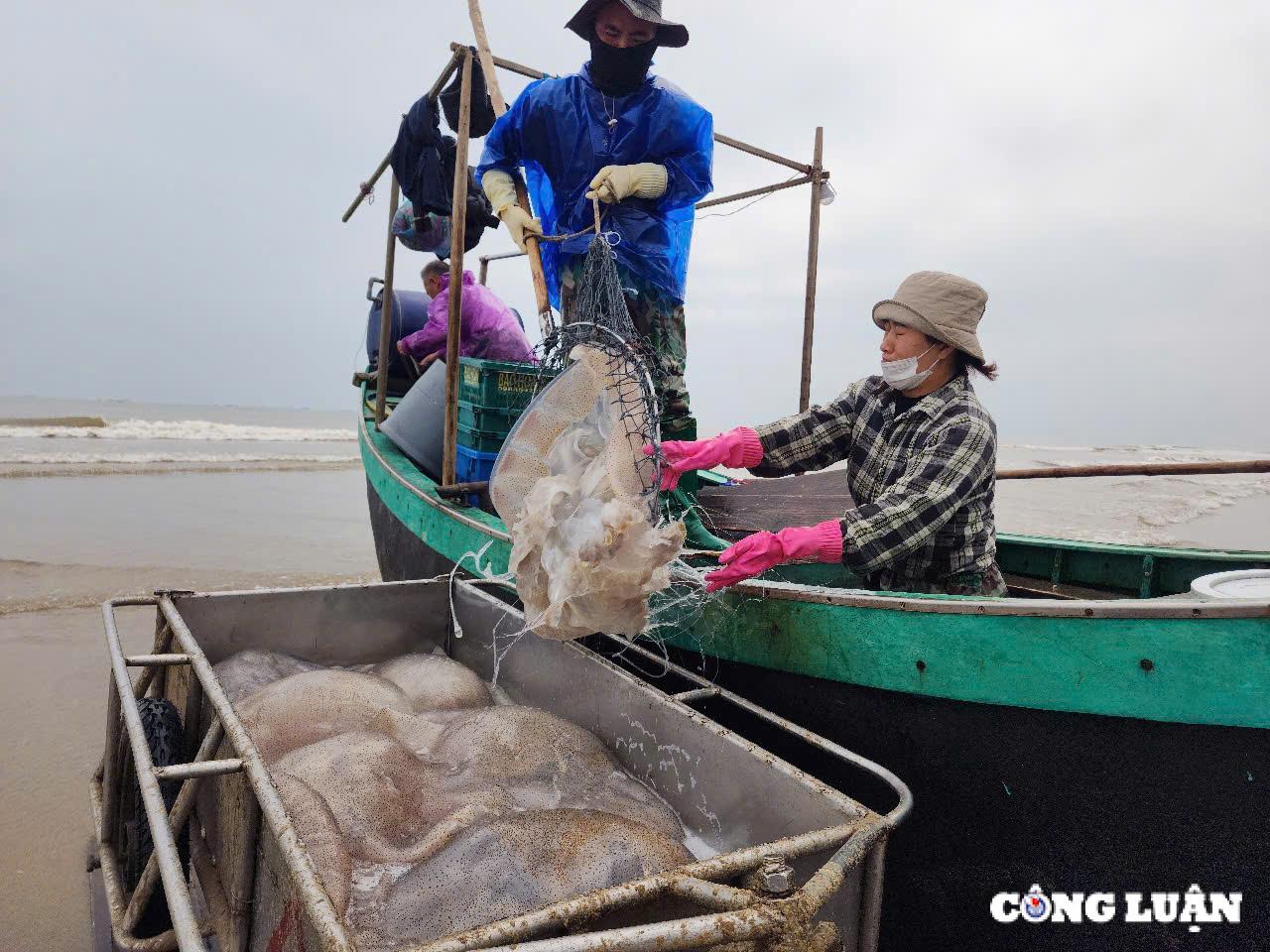 ngu dan ha tinh trung dam mua sua bien thu tien trieu moi chuyen ra khoi hinh 2