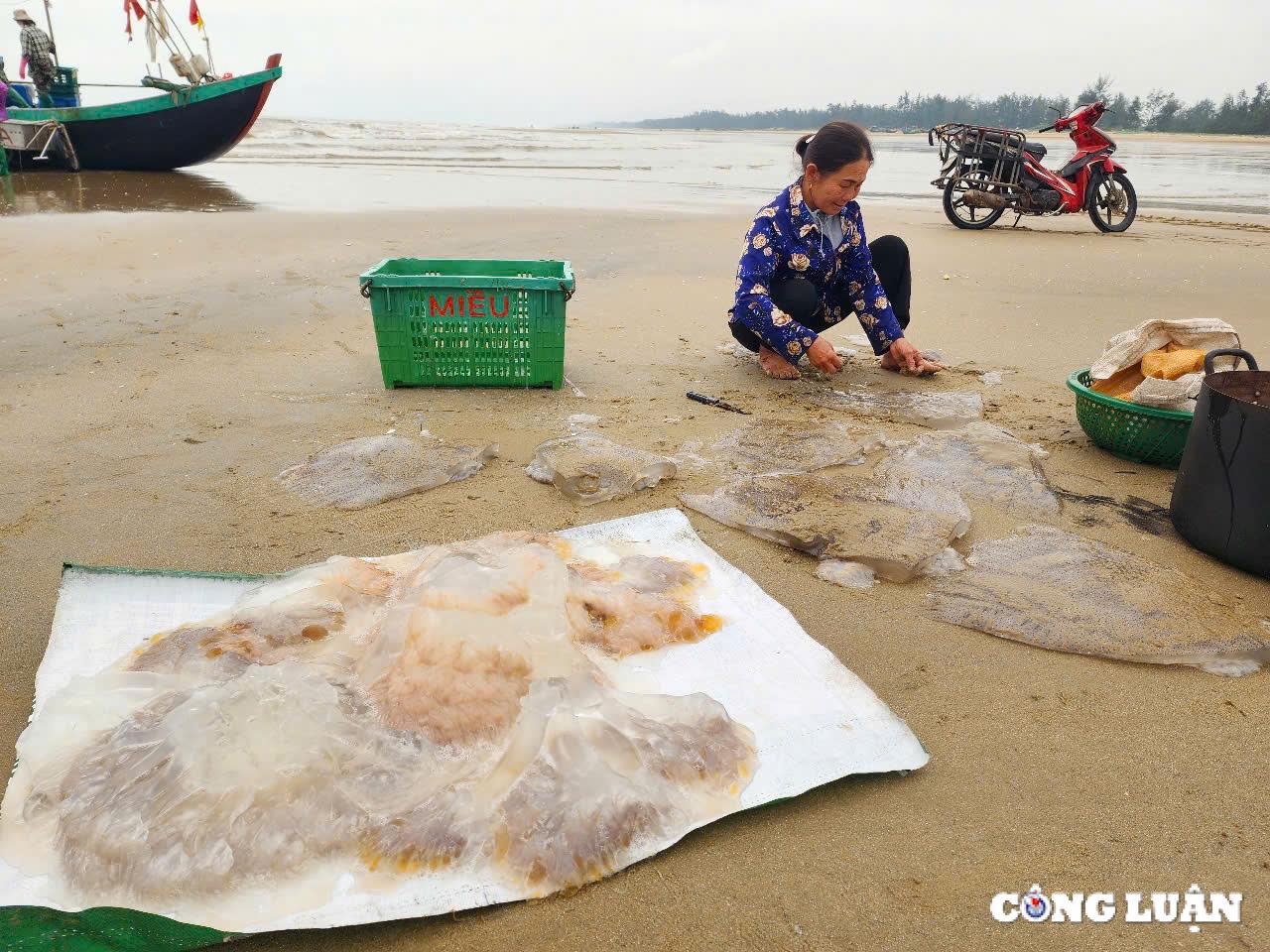 ngu dan ha tinh trung dam mua sua bien thu tien trieu moi chuyen ra khoi hinh 6