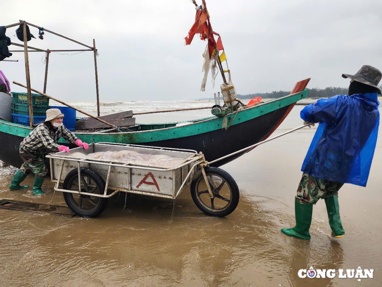 ngu dan ha tinh trung dam mua sua bien thu tien trieu moi chuyen ra khoi hinh 5