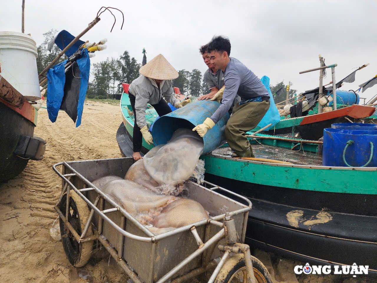 ngu dan ha tinh trung dam mua sua bien thu tien trieu moi chuyen ra khoi hinh 1