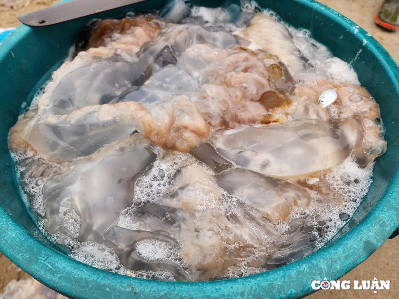 ngu dan ha tinh trung dam mua sua bien thu tien trieu moi chuyen ra khoi hinh 3