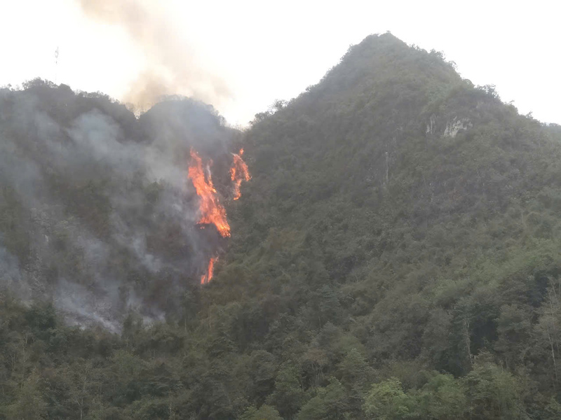 Một phần hiện trường vụ cháy. Ảnh: Đơn vị cung cấp