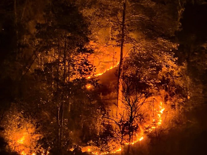 Đốt cỏ voi làm cháy 10ha rừng phòng hộ ở Cao Bằng