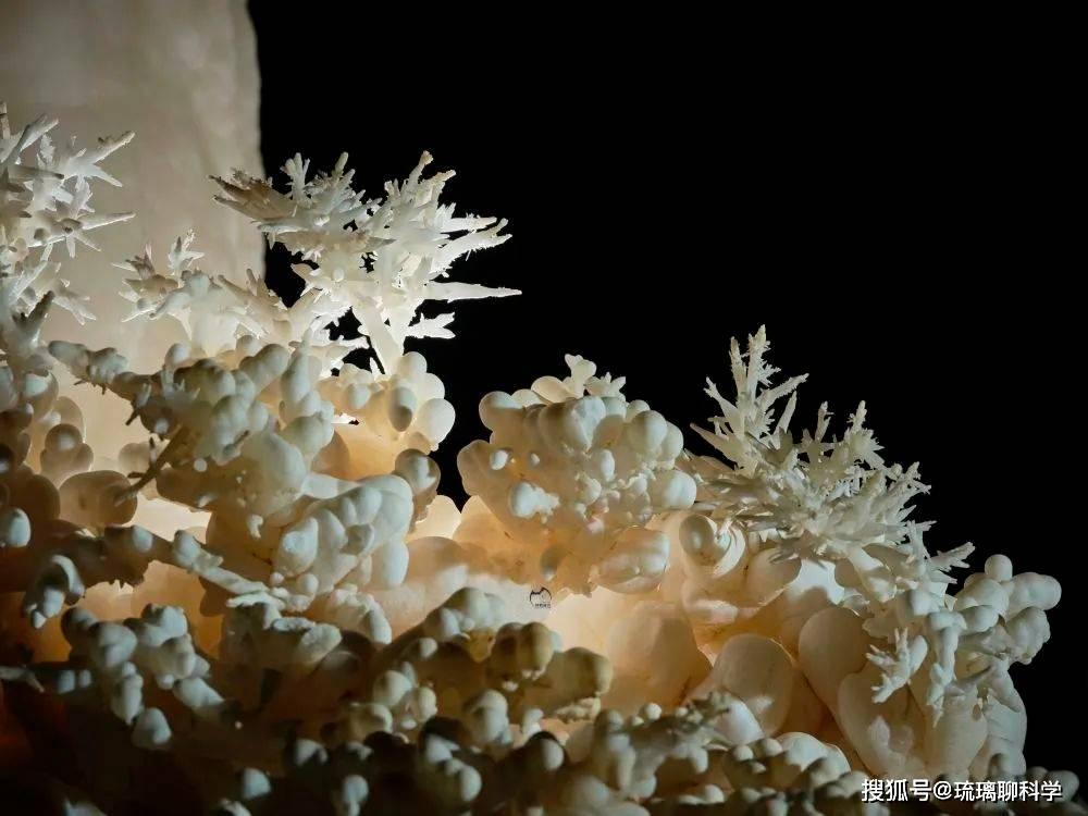 Phát hiện "Cung điện pha lê ngầm" 480 triệu năm tuổi: Có bí mật gì ẩn giấu bên trong?- Ảnh 4. Phát hiện "Cung điện pha lê ngầm" 480 triệu năm tuổi: Có bí mật gì ẩn giấu bên trong?- Ảnh 4.