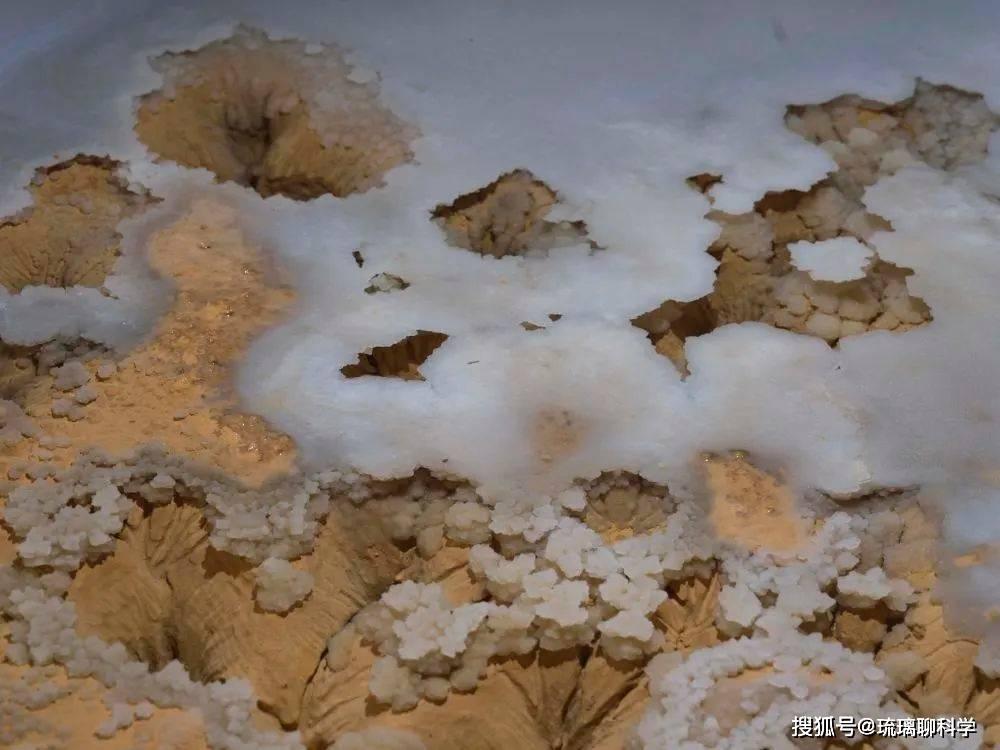 Phát hiện "Cung điện pha lê ngầm" 480 triệu năm tuổi: Có bí mật gì ẩn giấu bên trong?- Ảnh 3. Phát hiện "Cung điện pha lê ngầm" 480 triệu năm tuổi: Có bí mật gì ẩn giấu bên trong?- Ảnh 3.