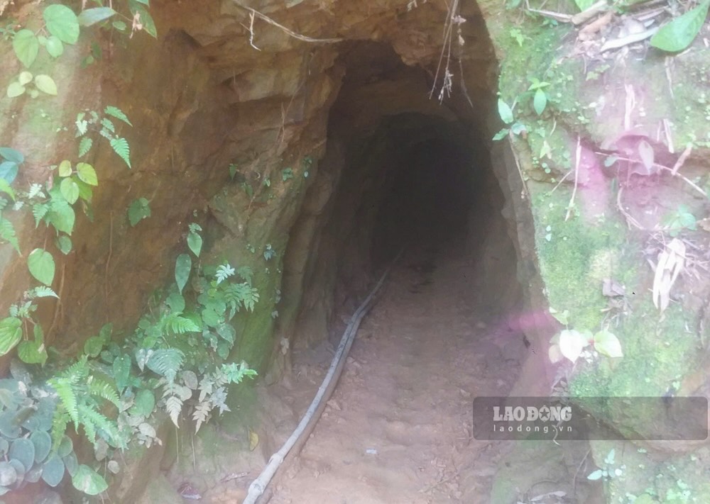 Hầm vàng sâu hun hút ở rừng đặc dụng. Ảnh: PV