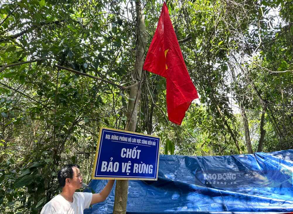 Chốt bảo vệ rừng được dựng lên. Ảnh: PV