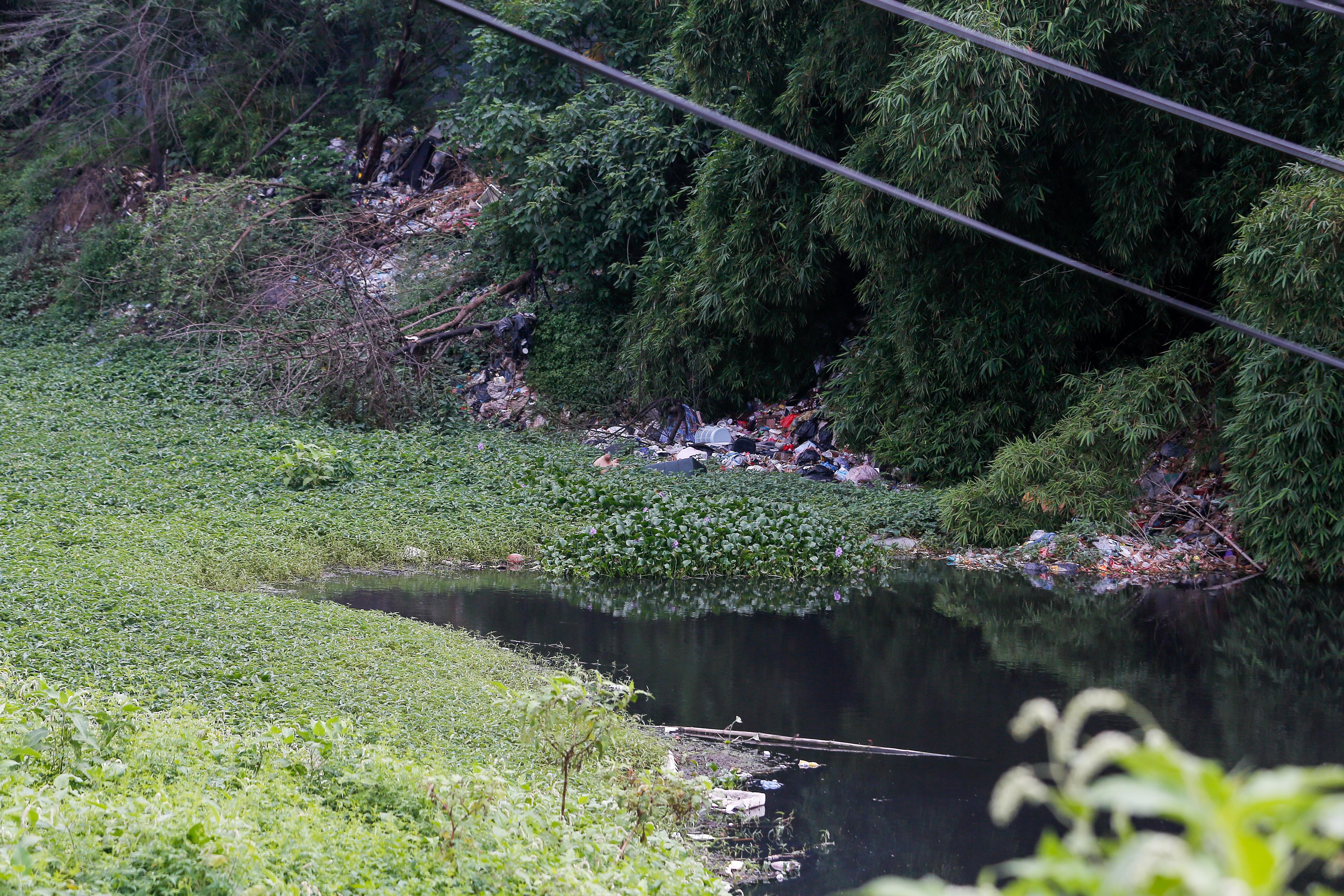 Người dân tại các xã dọc sông Đáy cho biết thêm, hoạt động sản xuất nông nghiệp của họ cũng chịu ảnh hưởng không nhỏ. Vốn dĩ phải lấy nước từ sông để tưới tiêu, nhưng nay, nhiều thửa ruộng sau khi được dẫn nước vào đã xuất hiện tình trạng cây trồng héo úa.