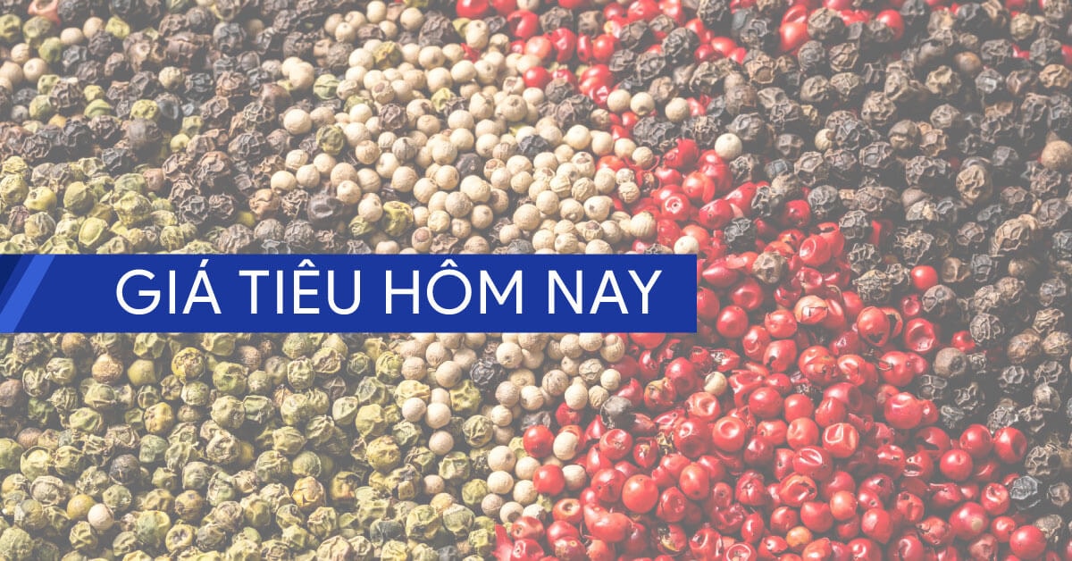 Giá tiêu giảm mạnh trong tháng 5 do bất ổn thuế quan Mỹ