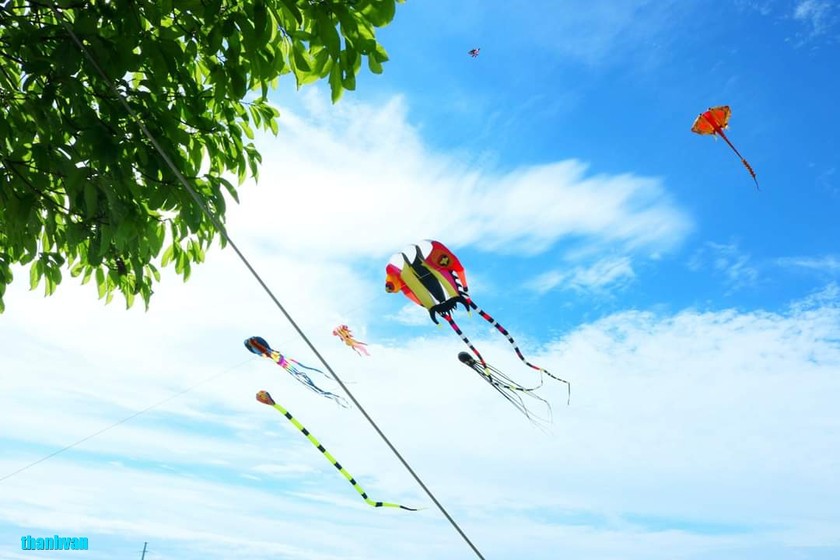 Diều thả gần đường điện, trong khu dân cư, đường giao thông... có thể gây hiểm họa khôn lường. (Ảnh: Thanh Vân)