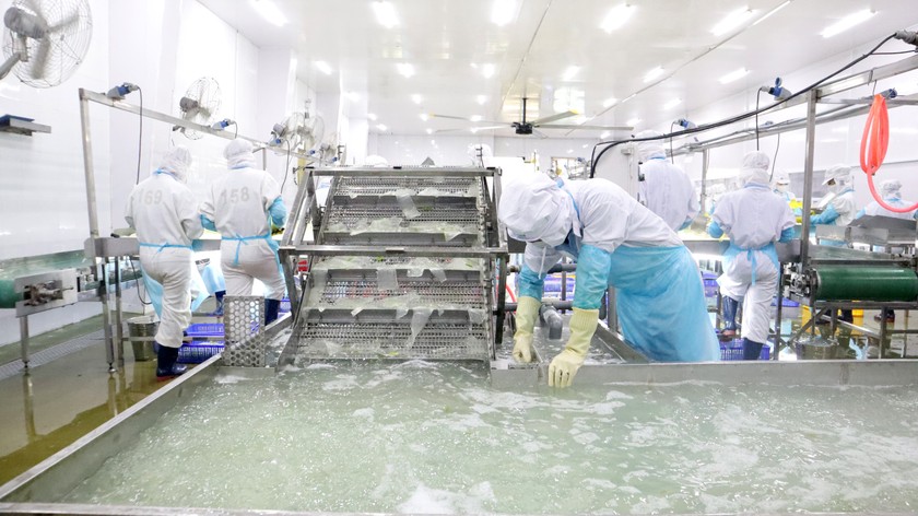 Năm 2024, GRDP toàn vùng Đông Nam Bộ đạt gần 3.775 nghìn tỷ đồng, dẫn đầu cả nước Năm 2024, GRDP toàn vùng Đông Nam Bộ đạt gần 3.775 nghìn tỷ đồng, dẫn đầu cả nước