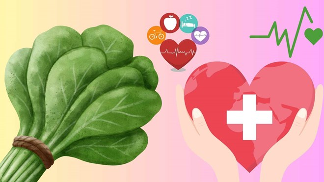 Mách bà nội trợ cách chế biến thần dược mùa hè giúp sáng mắt, bổ gan, tăng miễn dịch