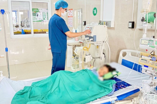 Rắn cạp nia bò từ điều hòa ra cắn bé 7 tuổi nguy kịch