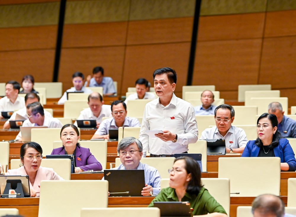 Đại biểu Nguyễn Lâm Thành (Đoàn Thái Nguyên) chất vấn.