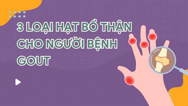 3 loại hạt bổ thận cho người bệnh gout