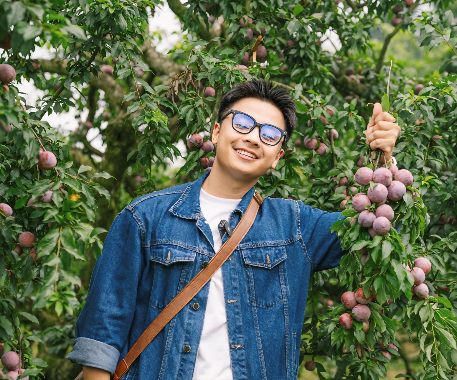 Quang Kiên, một bạn trẻ làm dịch vụ hướng dẫn du lịch, chụp ảnh tại Mộc Châu, chia sẻ: “Tháng 6 mận đang vào độ chín ngon, ngọt và năm nay du khách có thể lên hái mận tới tháng 7 vẫn được“.