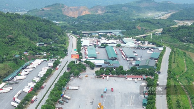 Đấu giá quyền thuê một phần Trung tâm hội chợ trong khu cửa khẩu tỉ đô ở Lào Cai