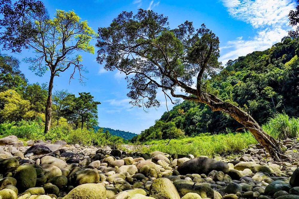 Biến “kho báu xanh” Vườn quốc gia Vũ Quang thành điểm đến sinh thái tầm cỡ - ảnh 1