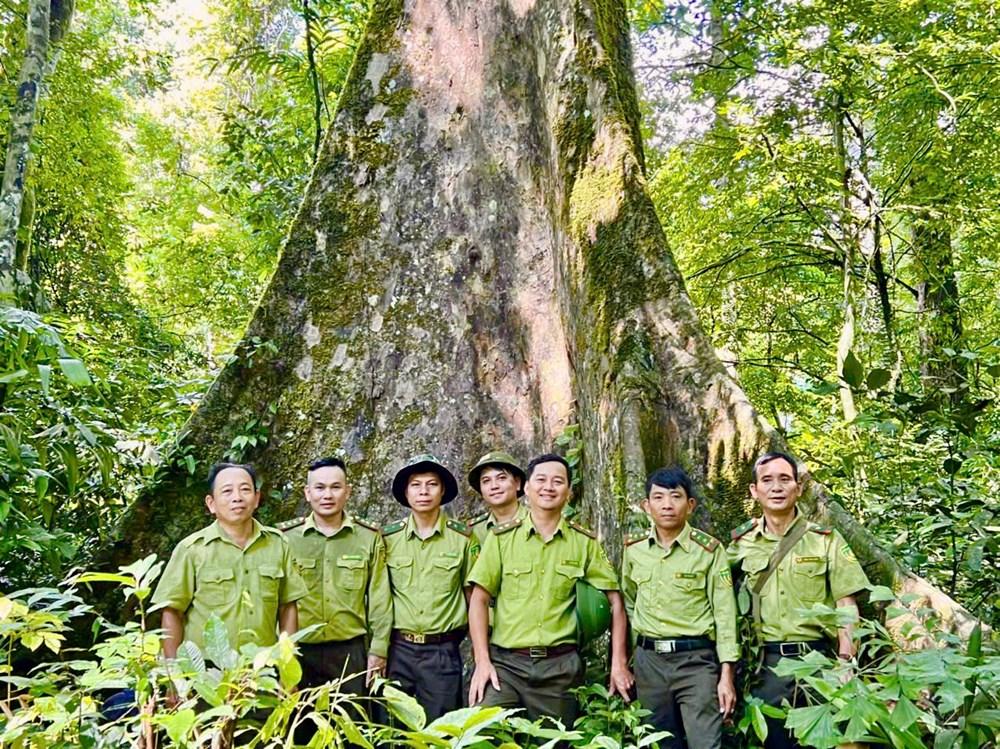 Biến “kho báu xanh” Vườn quốc gia Vũ Quang thành điểm đến sinh thái tầm cỡ - ảnh 6