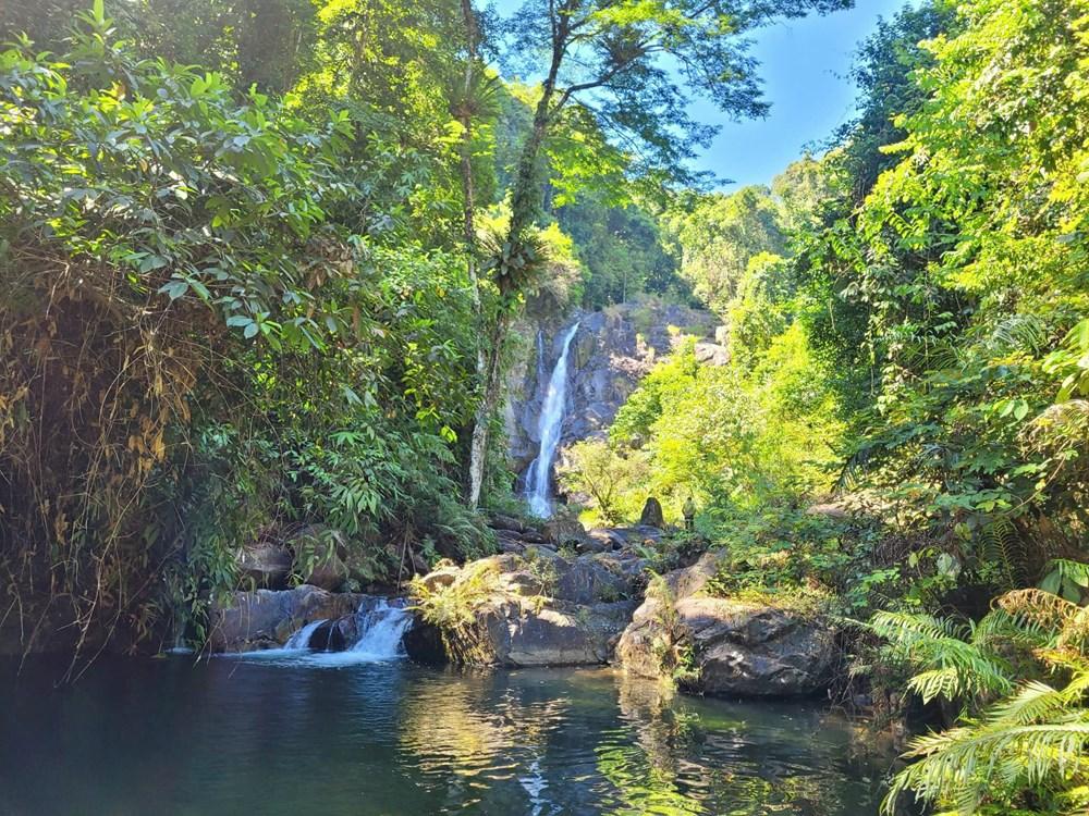 Biến “kho báu xanh” Vườn quốc gia Vũ Quang thành điểm đến sinh thái tầm cỡ - ảnh 4