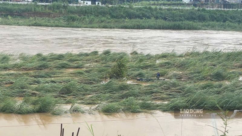 Người dân đánh bắt cá tôm trên sông Hồng. Ảnh: Đinh Đại