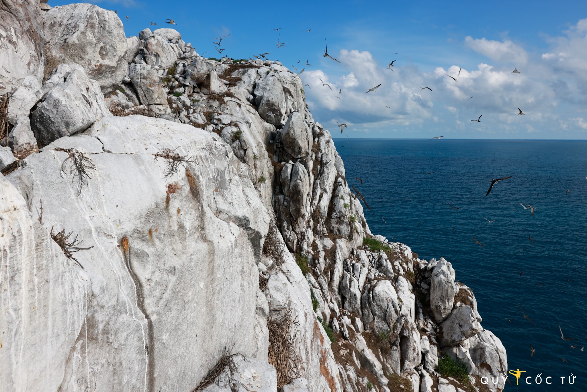 Hòn Trứng đóng vai trò như một điểm dừng chân quan trọng cho các loài chim di cư trên tuyến đường bay qua biển Đông, đồng thời là nơi sinh sản và kiếm ăn của nhiều loài chim bản địa. Việc bảo tồn nghiêm ngặt góp phần duy trì cân bằng sinh thái vùng biển Côn Đảo cũng như mang đến ý nghĩa quan trọng trong nghiên cứu hoa học về thích ứng và tiến hóa của các loài trong mọi trường đảo cô lập.