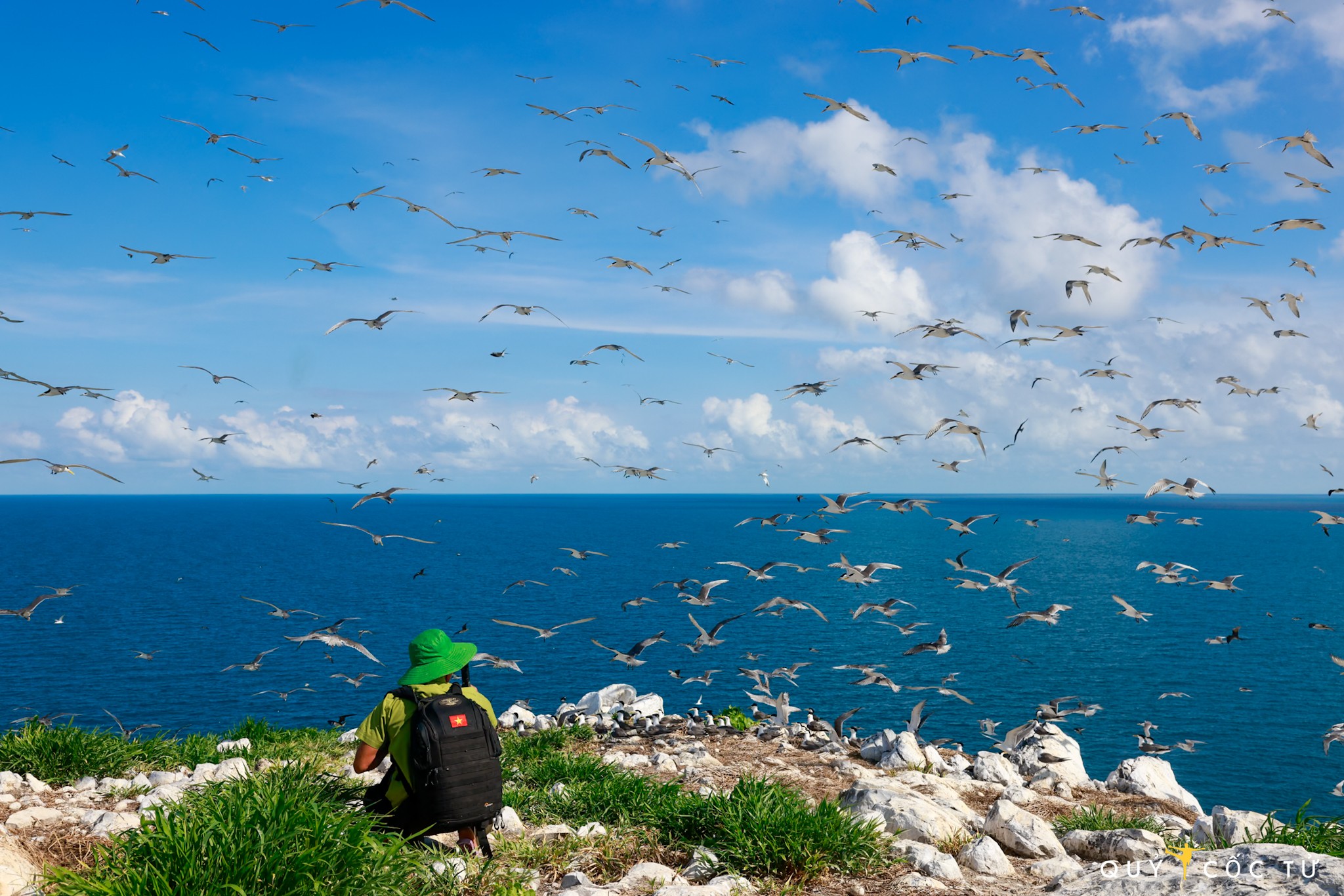 Nhiếp ảnh gia Ngô Trần Hải An chia sẻ: “Ngày nay, công tác bảo vệ Hòn Trứng được thực hiện rất nghiêm ngặt: Đảo có lắp đặt camera giám sát 24/24, kiểm soát mọi hoạt động và diễn biến sinh thái. Mọi hoạt động trái phép đều bị nghiêm cấm. Không có hoạt động du lịch, tham quan nào được cho phép. Ban Quản lý Vườn quốc gia Côn Đảo đã xây dựng quy trình bảo vệ rất bài bản, kỹ lưỡng, nhằm đảm bảo an toàn tuyệt đối cho hệ sinh thái mong manh này“.
